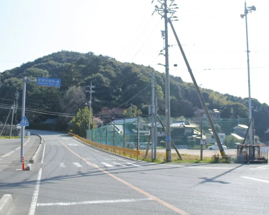 ナツミカン原樹の交差点