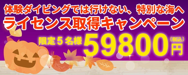 ダイビングライセンス