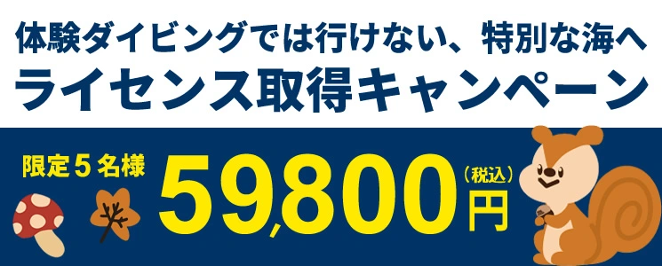 ダイビングライセンス